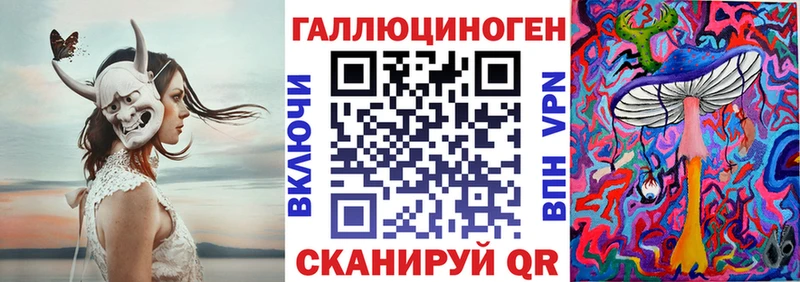 где продают   Губаха  Галлюциногенные грибы Magic Shrooms 